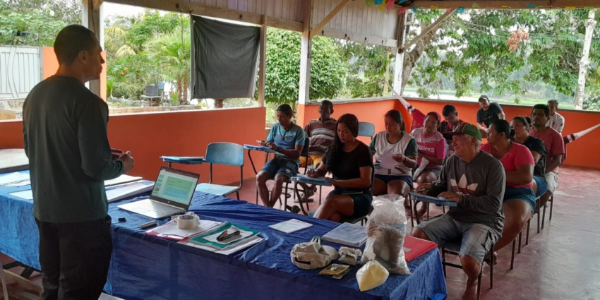 OLERICULTURA TURMA 1 4