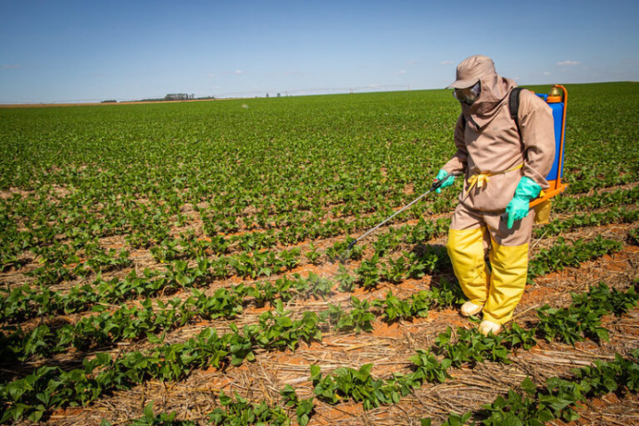 52119707075 fb18f55662 c 768x512