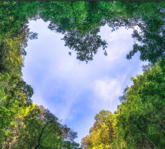 Cbam estudo mecanismo carbono ue