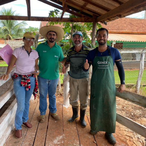 02 08 fev ateg mais genetica leite araputanga produtora maria antonia