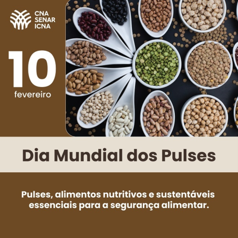 10 02 Dia Mundial dos Pulses V2