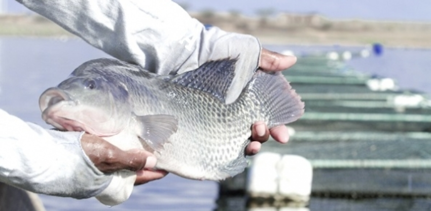 Img 5733 0 521084002015283384061