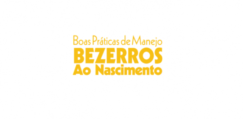 Bezerros 0 420784002015149182161