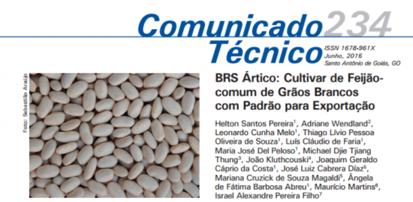 Feijao 0 099333002015150003731