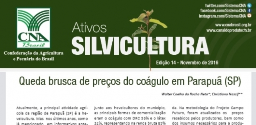 Silvicultura 0 512005002015149169881