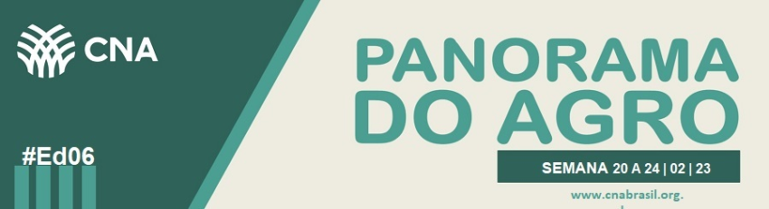 IMAGEM PA 20 A 24 02