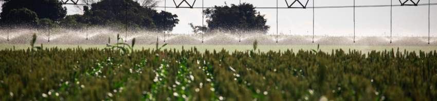 Agricultura Irrigada0