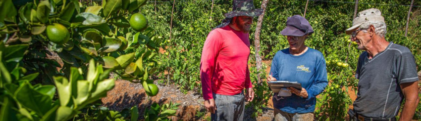 Empreendedores familiares rurais