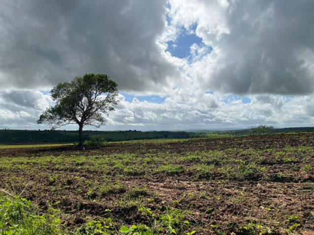 Whats App Image 2023 03 24 at 15 49 14