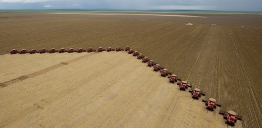 Colheita soja faz morro azul 0015 copia 1 0 803612002015283403831