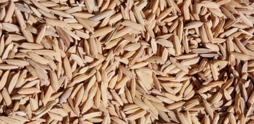 Arroz 0002 0 723169002015283404381