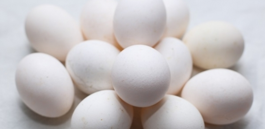 Img 1830 copia 0 217252002015283404401