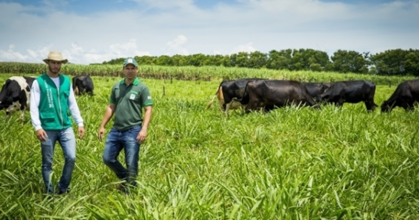 Vf 8348 2 0 024432002015287285851