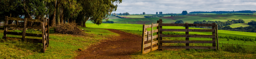 Paisagens Rurais 2 1