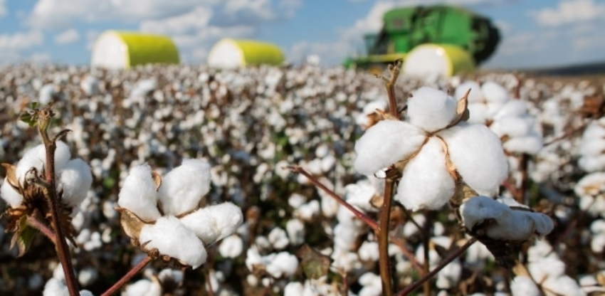 X5l3095 0 67251700 1515008775