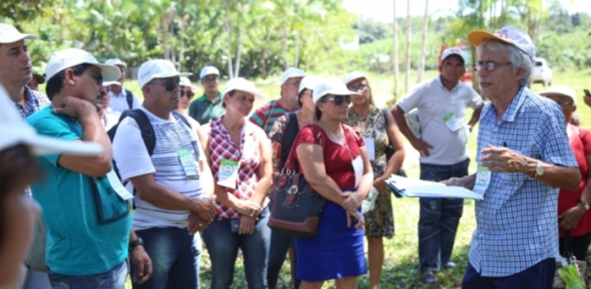 Segunda fase do PRADAM vai beneficiar 800 produtores no Bioma Amazônia ...