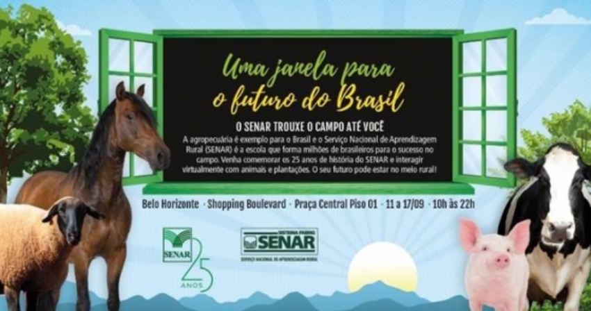 25 anos bh 0 18542000 1515060871