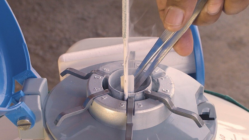 Curso inseminacao abre