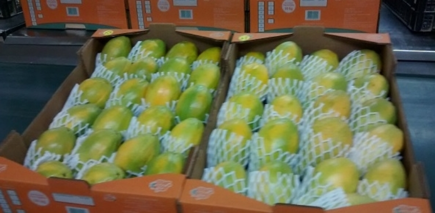 Mamao 2 0 593478002015150089461