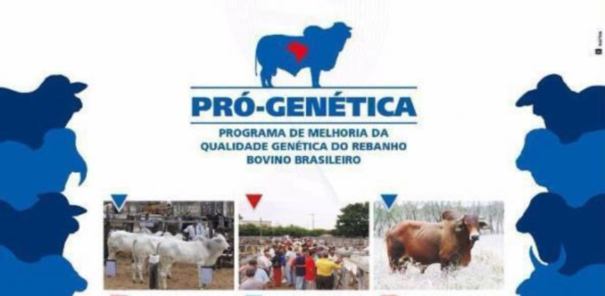 B 0 0 0 10 images noticias 2016 09 setembro programacao pro genetica 0 330656002015150101011