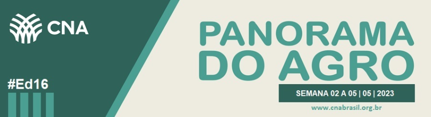 IMAGEM PA 2 A 5 DE MAIO