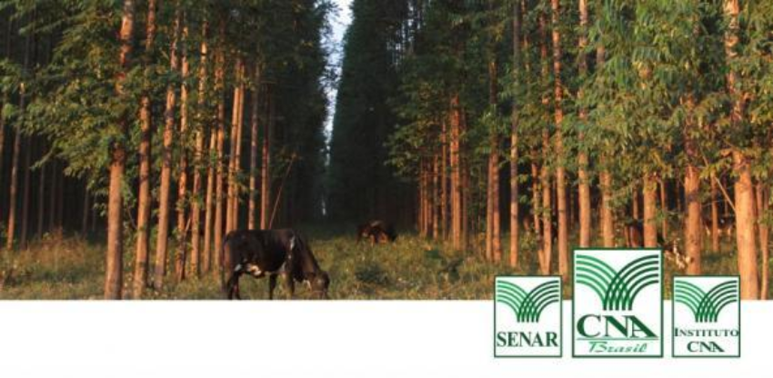 Post facebbok dia de protecao as florestas 1 0 608887002015150594691