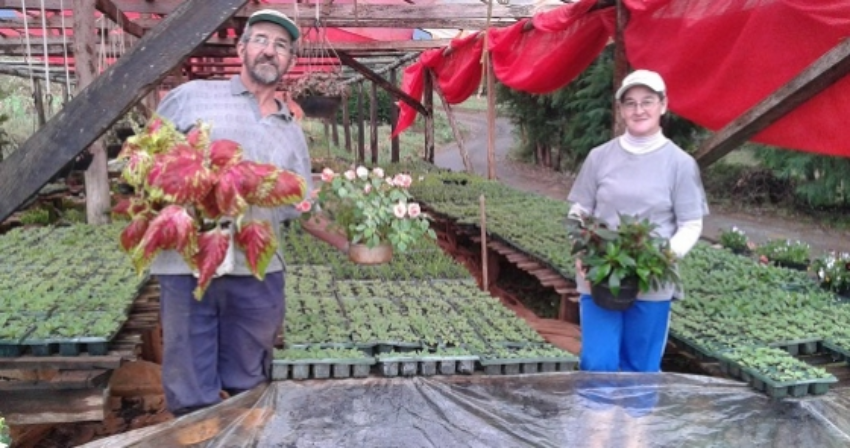 O projeto sobre mudas de flores e hortalicas viabilizou a permanencia no campo do casal ereni jose compari e helena 0 908710002015150611951