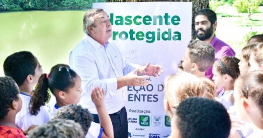 B 0 0 0 10 images nascentes larissa melo 53 0 315728002015150612071