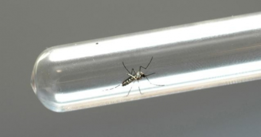 Ca03f3cd 64f2 4784 8bf9 958a8994eb7f 0 477749002015150612351