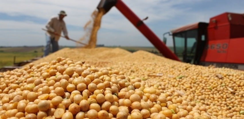 Colheita de soja 150 0 10532400 1515009900