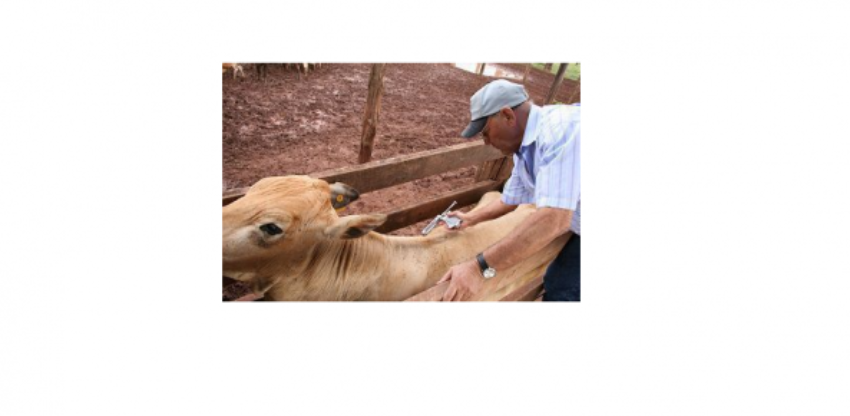 Aftosa 0 211654002015150099801