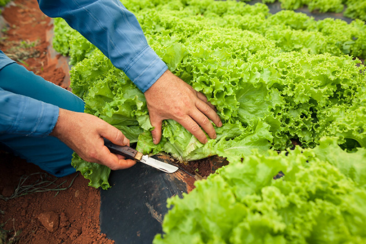 49099421363 97775ea31c c