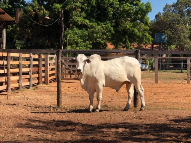 Encerramento prova de ganho de peso