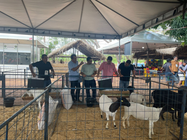 Whats App Image 2023 06 26 at 11 21 20 AM 1