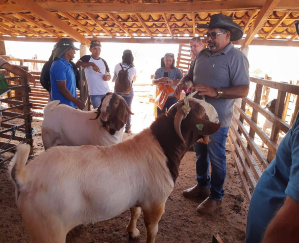 Whats App Image 2023 07 21 at 6 33 56 AM