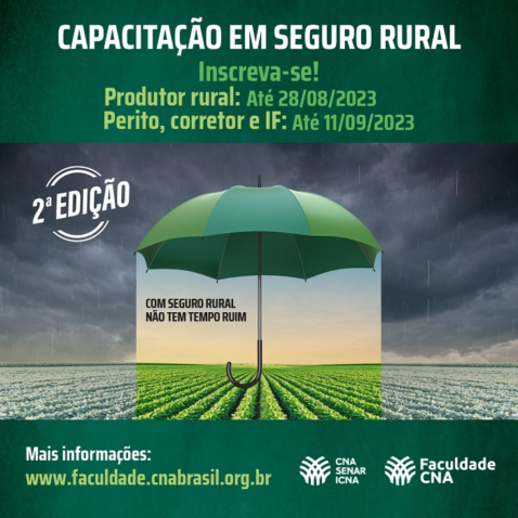 Cards divulgacao 1 TIPO 01 Square whatsapp