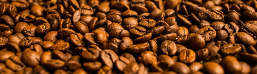 Banner manejo broca cafe