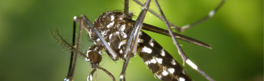 Destaque noticias CNA 1547 x 479px 3