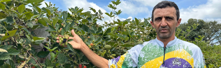 Destaque noticias CNA 1547 x 479px 5