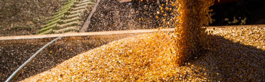 Destaque noticias CNA 1547 x 479px 8