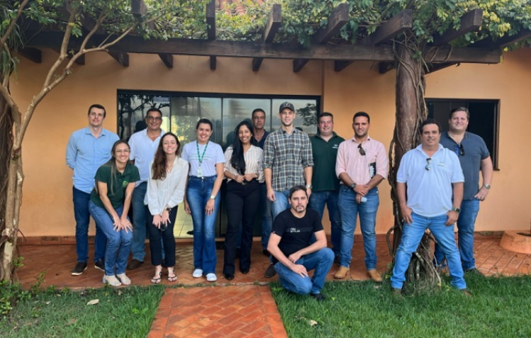 Nova alvorada do sul