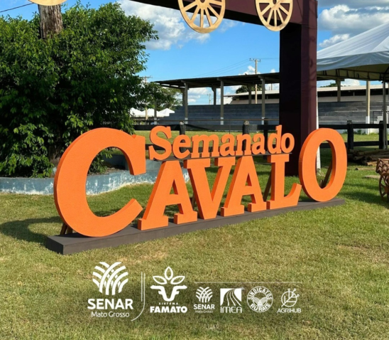 Whats App Image 2024 05 02 at 09 15 34