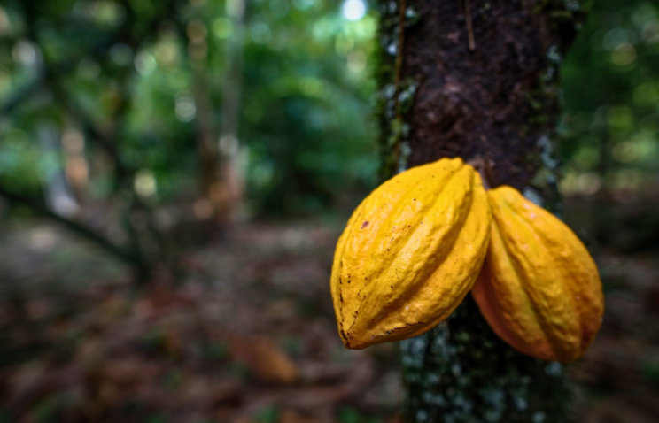 FOTOS PARA POR NO SITE DA CNA