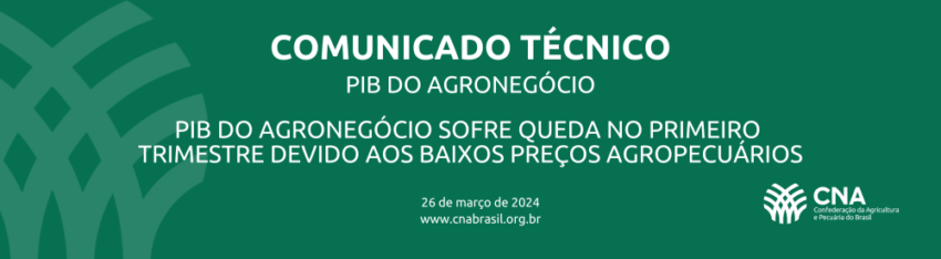 COMUNICADO TECNICO 46