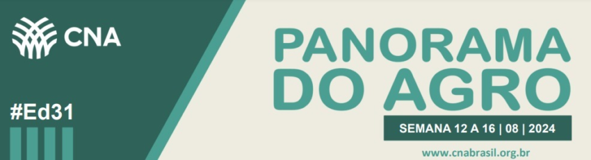 Thumbnail PHOTO 2024 08 16 17 34 20