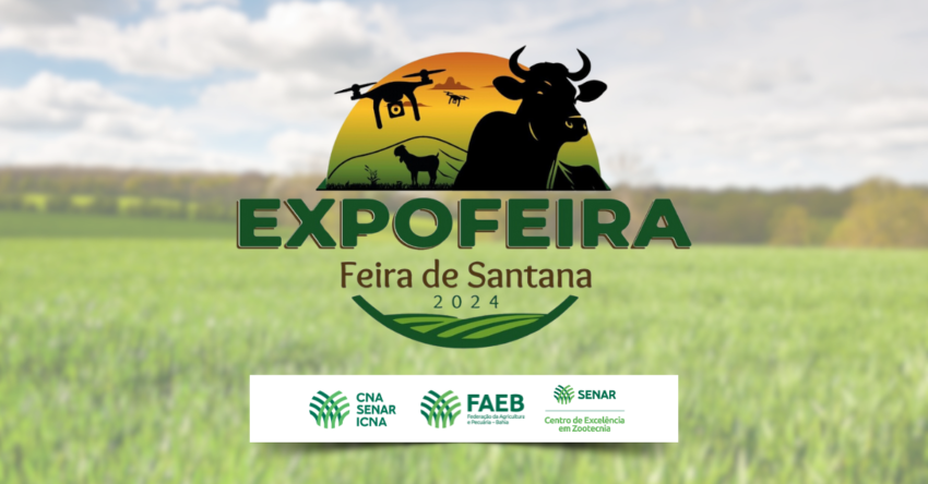 Expofeira
