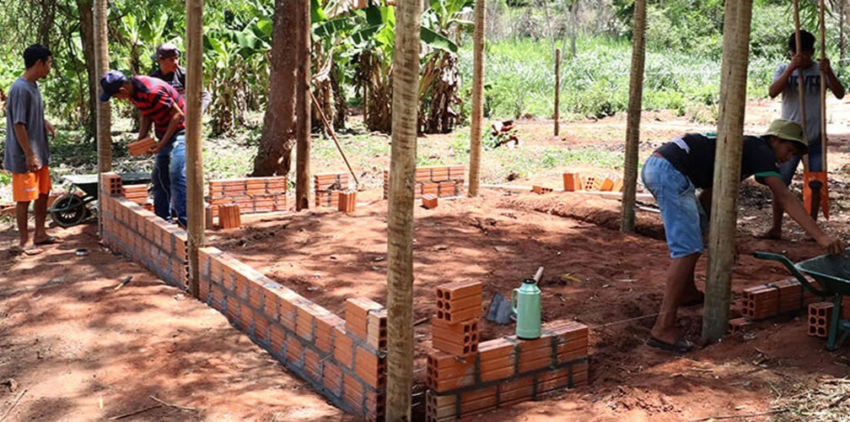 Galinheiros comunitarios