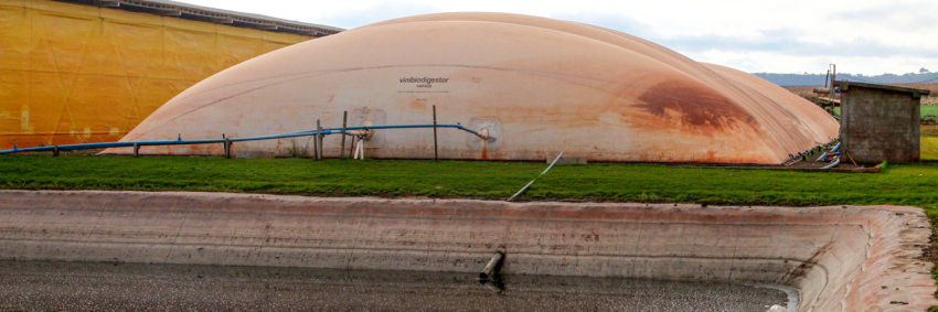 Biodigestor foto