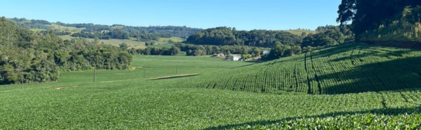 CNA IMAGEM PRINCIPAL