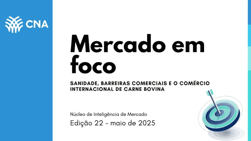 Mercado em foco